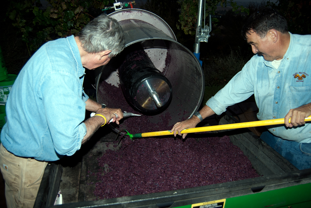 Eagles Nest Winery - Wine Tasting in Ramona Valley AVA - San Diego County